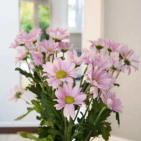 Geschaeftsreisetraum Mit 6 Betten